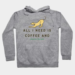 Coffee And Bracco Italiano - All I Need Is Coffee And Bracco Italiano TShirt Hoodie